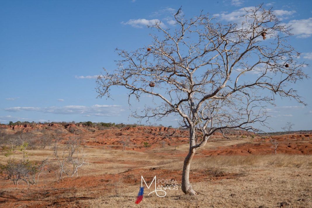 Estudo aponta surgimento de áreas de deserto no Brasil