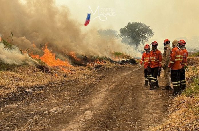 pantanal Pantanal bate recorde de queimadas em novembro por falta de chuvas