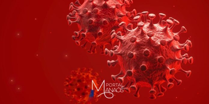 pirola OMS sobe classificação de alerta para variante Pirola