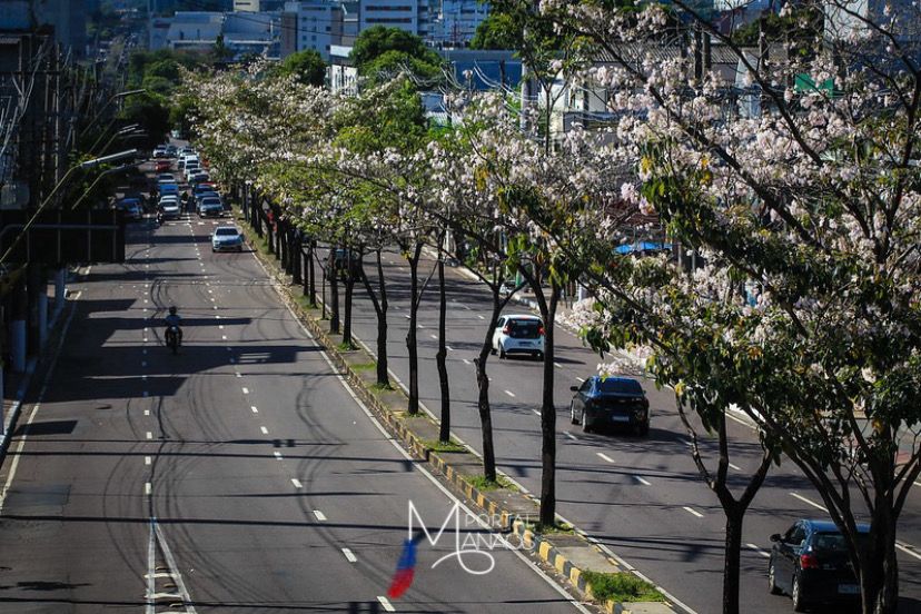 Manaus é escolhida para a implantação de projeto ambiental da ONU