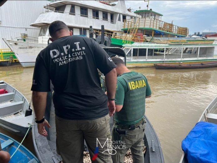 ibama IBAMA flagra comércio de carne de peixe boi e outros crimes ambientais em Coari-AM