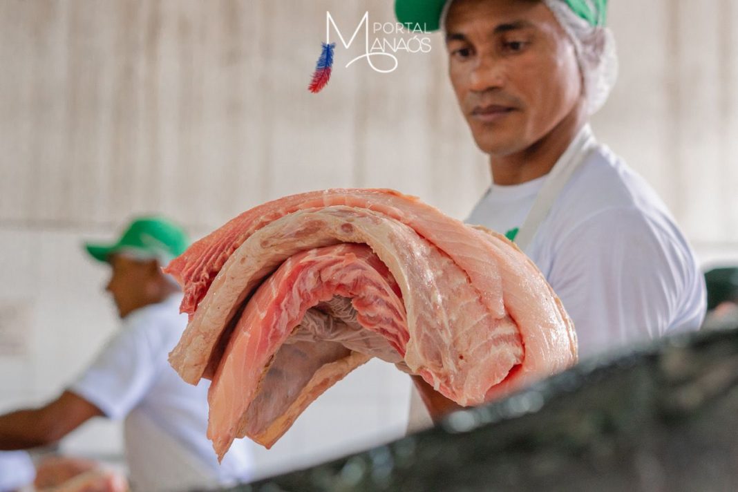 Manejadores de Mamirauá realizam última Feira do Pirarucu do ano na FAS com 4,5 toneladas de peixe à venda