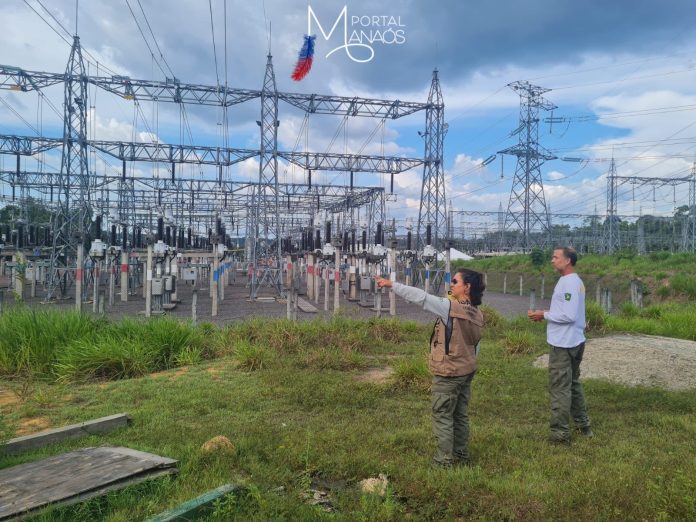 analistas Analistas ambientais acompanham obras da Linha de Transmissão Manaus - Boa Vista