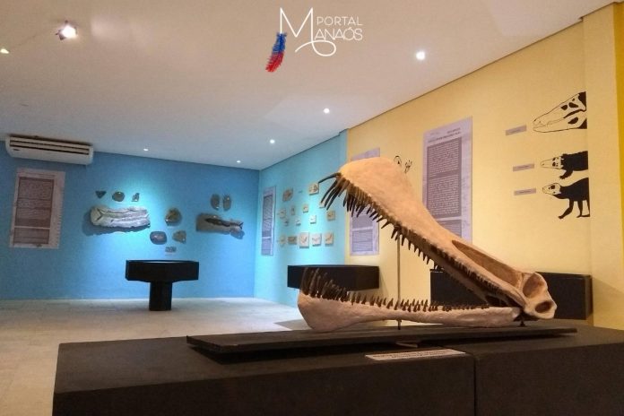 fosseis Quase mil fosseis repatriados da França por atuação do MPF chegam ao Brasil