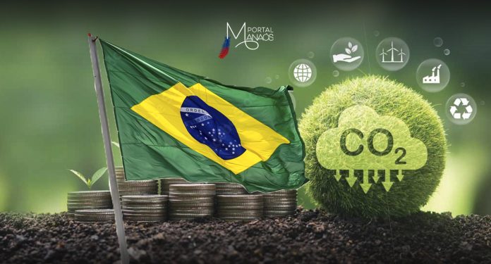 capa carbono manaós