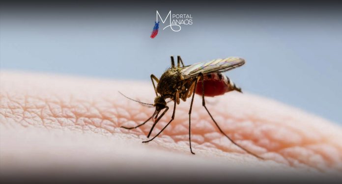 Pesquisadores do Instituto Leônidas e Maria Deane (Fiocruz Amazônia) relataram, em artigo publicado na revista científica Memórias do Instituto Oswaldo Cruz, a descoberta do primeiro caso de febre oropouche detectado na região fronteiriça internacional da Amazônia, que reúne Brasil, Colômbia e Peru. O estudo contou com a colaboração do Laboratório de Saúde Pública do Departamento do Amazonas, da Colômbia