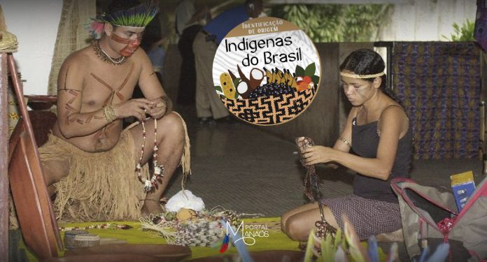 capa indigenas