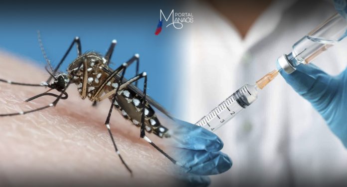 Dengue, Vacina, Dúvidas, Saúde,