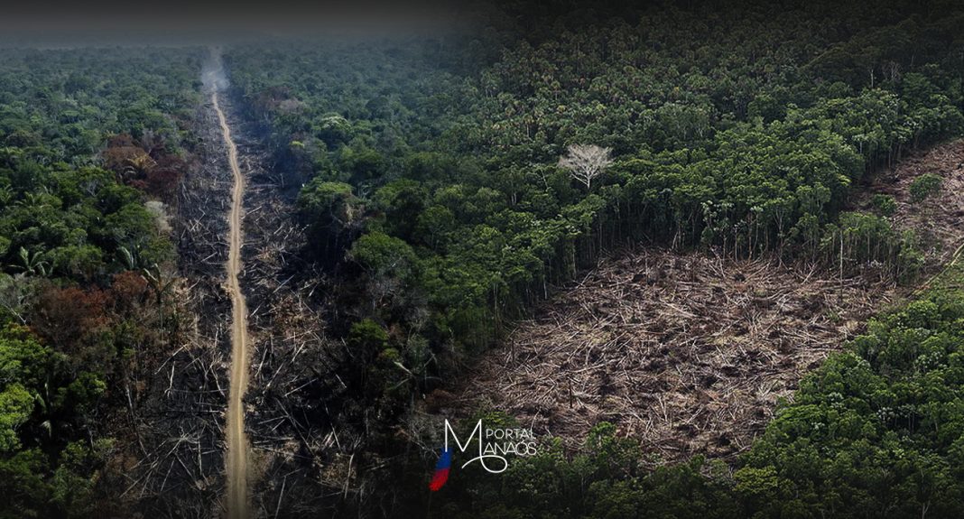 Amazônia, Ambiental, Colapso, Estudo, Pesquisa,