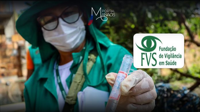 capa FVS manaos FVS, dengue, informe
