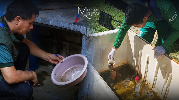 FVS, Boletim Epidemiológico, Arboviroses, Amazonas,