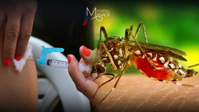 Amazonas, Adolescentes, Vacina, Dengue,