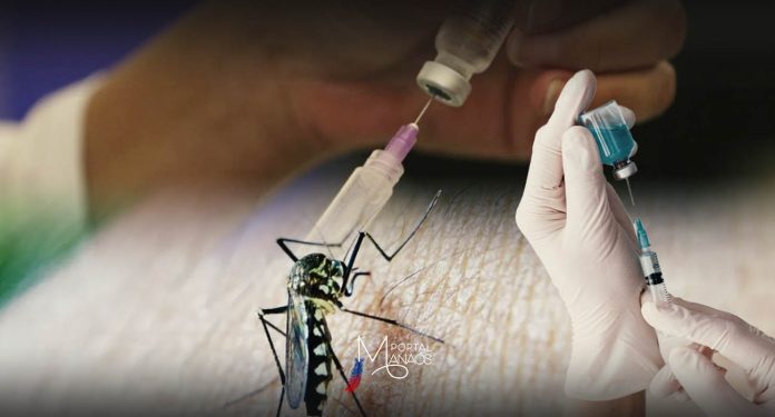 Dengue, Infantil, Vacinação,