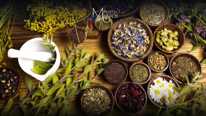 Plantas, Anti inflamatório, Fitoterapia