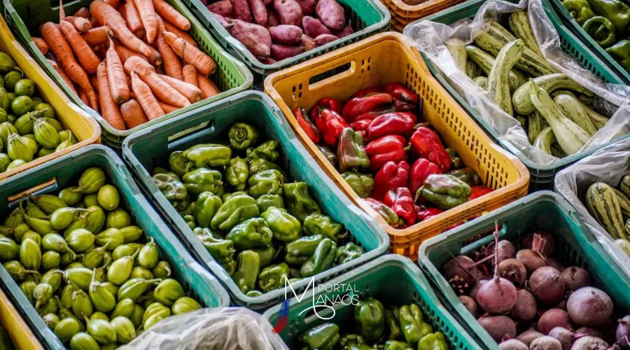 Alimentos, Cesta Básica, Economia