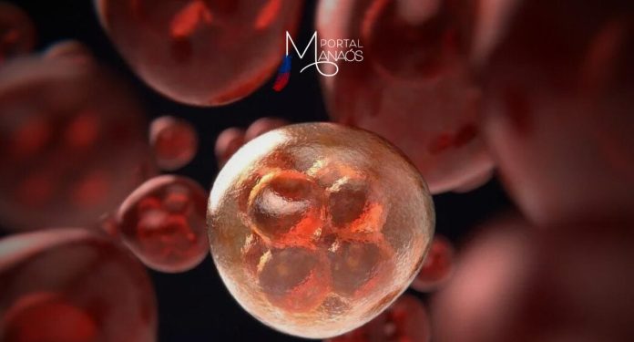 A Fundação Fiocruz lançou, em evento, nesta terça-feira (26), a Estratégia para Terapias Avançadas. Como parte da Estratégia e em parceria com o Ministério da Saúde (MS), a Fundação assinou um acordo de colaboração com a organização norte-americana sem fins lucrativos Caring Cross, que prevê a transferência de tecnologia, pelo Instituto de Tecnologia em Imunobiológicos (Bio-Manguinhos/Fiocruz), para a produção de células CAR-T e vetores lentivirais