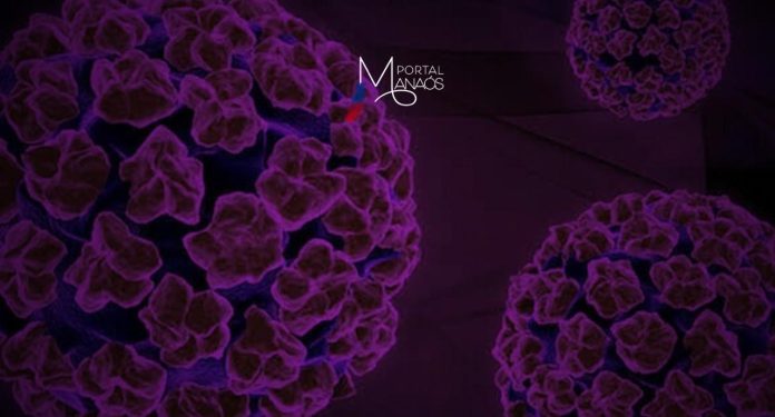 Principal causa do câncer de colo de útero, também relacionado a mais outros cinco tipos de cânceres, a infecção pelo papilomavírus humano (HPV) não apresenta sinais ou sintomas na maioria das pessoas. Assim, o vírus acaba por ser transmitido de forma silenciosa, pelo fato de a pessoa desconhecer que contraiu a infecção. Em alguns casos, o HPV pode ficar latente de meses a anos, sem manifestar sinais visíveis ou apresentar manifestações subclínicas, isto é, detectáveis por exames.