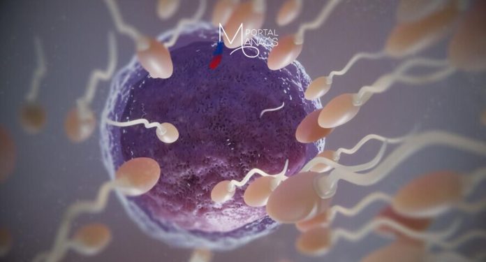 Estudo publicado na revista britânica The Lancet analisa as taxas de fertilidade no mundo e aponta que, até o ano de 2100, apenas 6 (3%) entre 204 países terão níveis sustentáveis de nascimentos para reposição sustentável da população. O trabalho analisa os dados entre 1950 e 2021 e faz a projeção para 2050 e 2100. A pesquisa é fruto da parceria do grupo de estudo internacional chamado Global Burden of Diseases (Carga Global das Doenças). Integra a equipe o pesquisador do departamento de Saúde Coletiva da Fiocruz Pernambuco, Rafael Moreira.