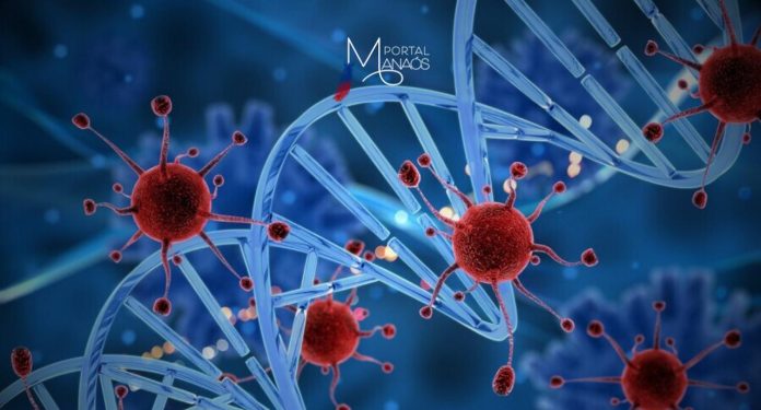 A Fundação de Vigilância em Saúde do Amazonas (FVS-RCP), da Secretaria de Estado de Saúde do Amazonas (SES-AM), atua para descentralizar a atenção ao HIV e intensificar o acesso a diferentes métodos de prevenção ao vírus. Como parte das atividades iniciais do Projeto Amplia Amazonas, voltado para essa descentralização, reuniões virtuais foram realizadas envolvendo os municípios do estado.