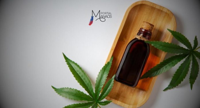 A Comissão de Saúde da Câmara dos Deputados promove, na próxima terça-feira (28), audiência pública sobre os impactos da PEC 45/23 no acesso a medicamentos à base de canabidiol. A PEC criminaliza a posse e o porte de qualquer quantidade de droga.