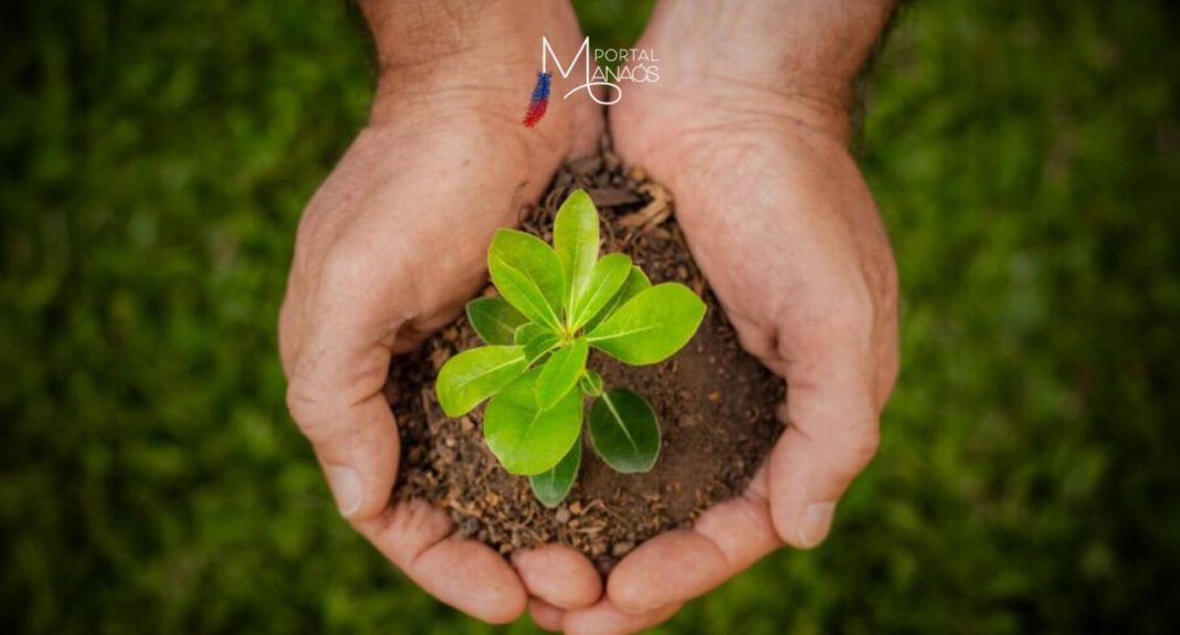 A campanha do Dia Mundial do Meio Ambiente, celebrado nesta quarta feira (5) pelo Programa das Nações Unidas para o Meio Ambiente (PNUMA) deste ano, se concentra na restauração da terra, na desertificação e na resiliência à seca sob o slogan 