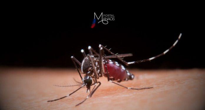 Entre os anos de 2013 e 2022, foram registrados 1.510.137 casos autóctones de malária na região amazônica brasileira. Desses casos, 29,03% (438.436 casos) ocorreram em crianças de até 12 anos.