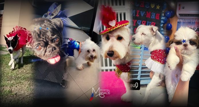 a Creche e Hotel Puppylo promoveu, neste sábado (22), a segunda edição do "Puppytins", um evento especial para pets e seus papais bichológicos.