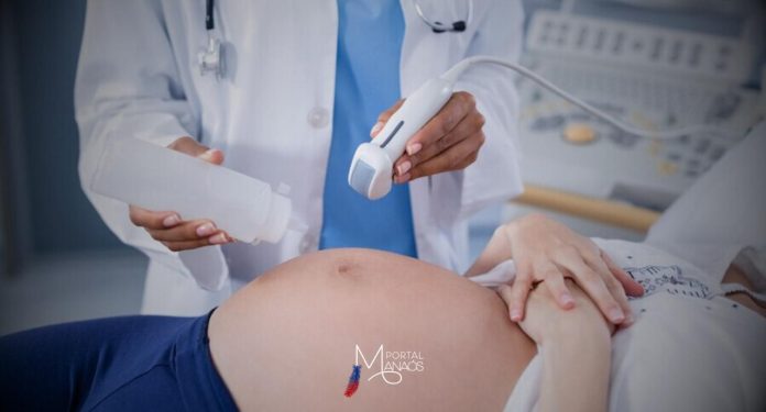 A Secretaria de Estado de Saúde do Amazonas (SES) e a Secretaria Municipal de Saúde de Manaus (Semsa) devem estabelecer procedimento padrão para receber e apurar denúncias de violência obstétrica oriundas das maternidades. Além disso, devem determinar às direções dos estabelecimentos de saúde que realizem averiguação preliminar de todos os relatos recebidos, seja por meio das ouvidorias ou de comissão específica.