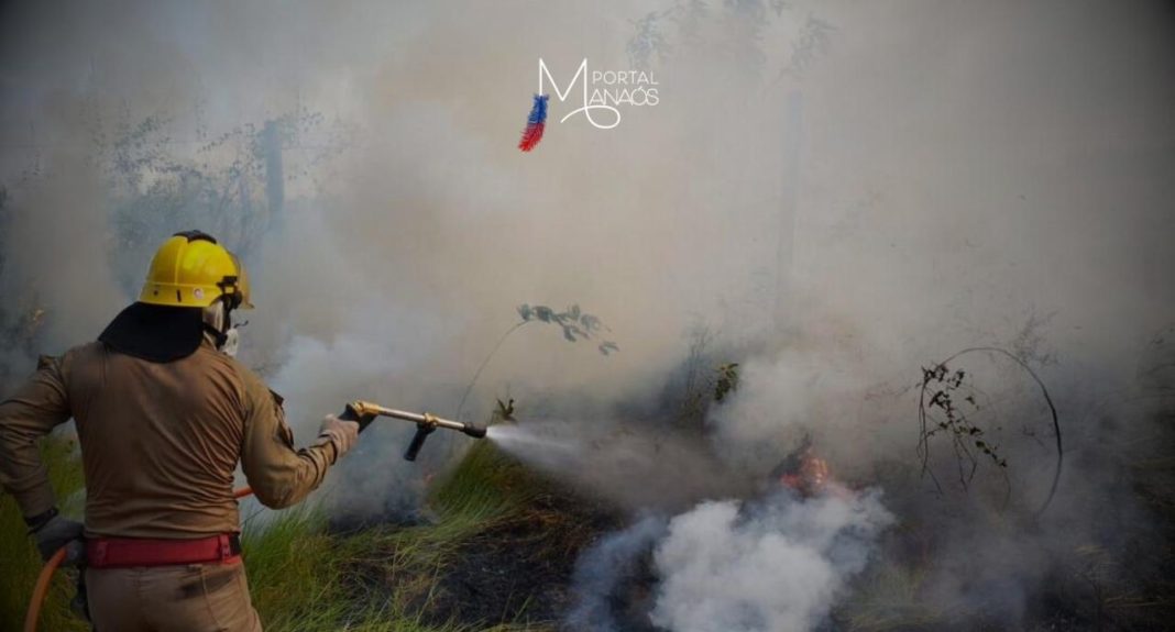 A equipe de bombeiros da Operação Aceiro 2024 combateu, entre a tarde e a noite desta terça-feira (16), um incêndio de grande proporção em uma área de vegetação, nas proximidades do Aeroporto de Manicoré (a 332 quilômetros de Manaus). Na ação, os bombeiros usaram 15.800 litros de água para apagar o incêndio. Não houve vítimas.