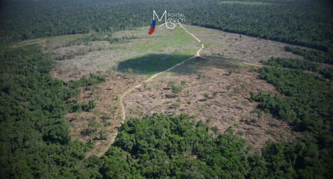 A Advocacia-Geral da União (AGU) obteve na Justiça Federal o bloqueio de bens no valor de R$ 292 milhões de pecuarista responsável por desmatar e queimar 5,6 mil hectares da Floresta Amazônica entre 2003 e 2016, em áreas localizadas nos Municípios de Boca do Acre e Lábrea, no estado do Amazonas.