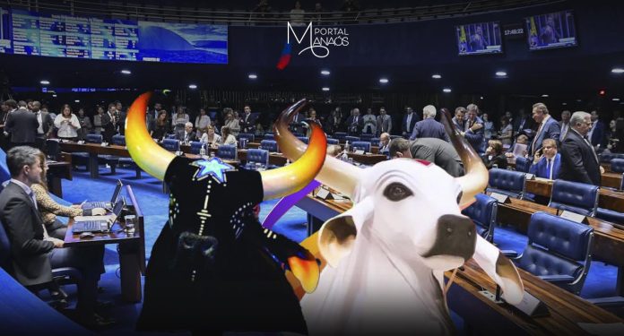 Amazonas, Cultura, Festival de Parintins, Senado,