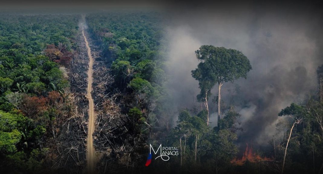 As áreas sob alertas de desmatamento na Amazônia caíram 38% no primeiro semestre em relação ao mesmo período de 2023, segundo dados do sistema Deter-B, do Instituto Nacional de Pesquisas Espaciais (Inpe), divulgados na última quarta-feira (3)