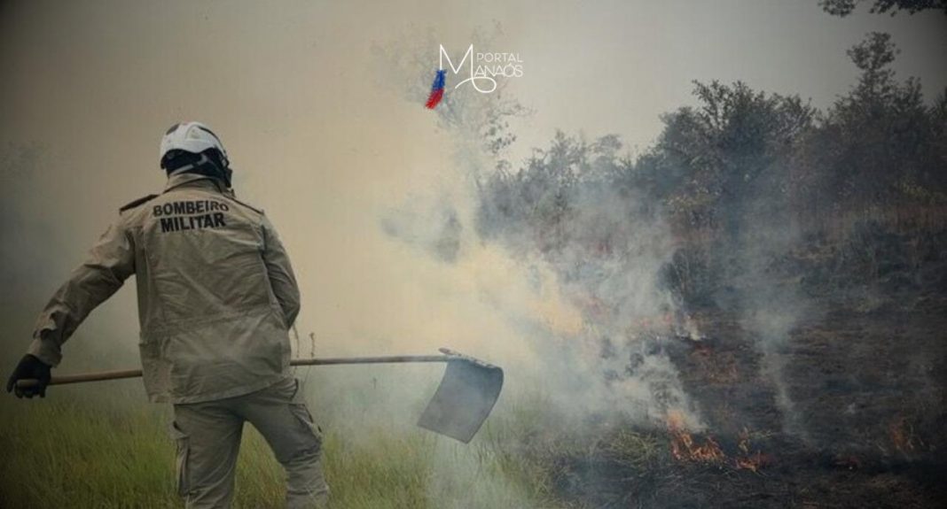 O Corpo de Bombeiros Militar do Amazonas (CBMAM) combateu, na tarde da última quinta-feira (15), um incêndio que atingiu uma área de vegetação próximo do aeroporto do município de Lábrea (a 702 quilômetros da capital). Na ação, as equipes da Operação Aceiro utilizaram 1.500 litros de água para combater as chamas. Não houve registro de vítimas.