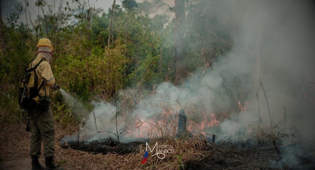 A Amazônia está no centro de uma grave crise de incêndios florestais, com 1.489 brigadistas do Ibama e ICMBio trabalhando para combater as chamas. A temporada de incêndios deste ano foi antecipada e intensificada pela mudança climática, refletindo a mesma tendência observada no Pantanal.