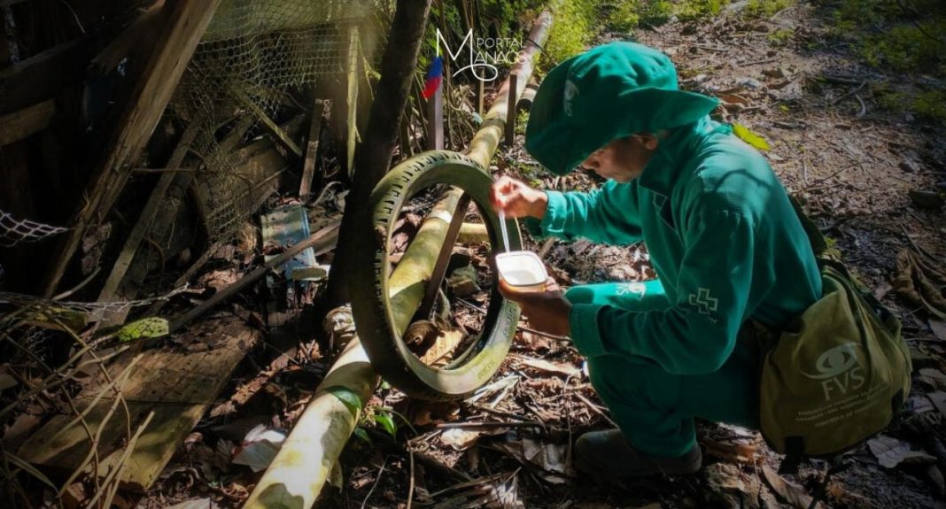 A Fundação de Vigilância em Saúde do Amazonas – Dra. Rosemary Costa Pinto (FVS-RCP), unidade vinculada à Secretaria de Estado de Saúde do Amazonas (SES-AM), divulgou, na última quinta-feira (29), o Informe Epidemiológico das Arboviroses no Amazonas. 