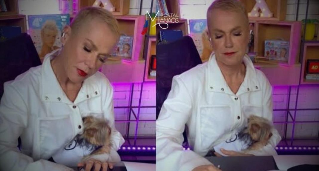 O retorno da Rainha dos Baixinhos foi confirmado! Nas redes sociais, A cantora e apresentadora, Xuxa Meneghel anunciou a assinatura de um novo contrato com a gravadora Som Livre. Ela também contou sobre o lançamento do álbum Raridades X, com uma série de músicas inéditas gravadas para discos anteriores.