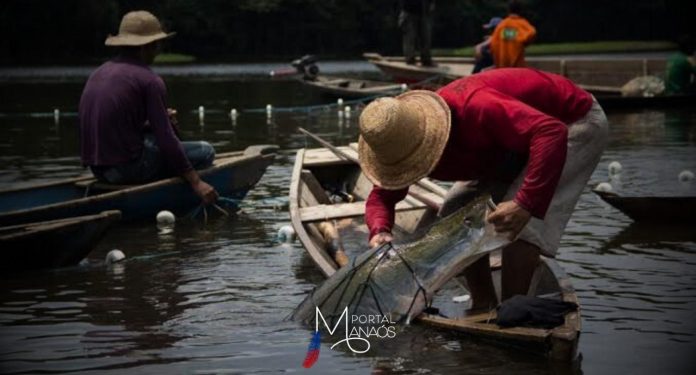 A Medida Provisória nº 1.263 , que concede auxílio extraordinário a cerca de 100 mil pescadores e pescadoras que recebem o seguro defeso na Região Norte, foi editada pelo Presidente Lula. O valor destinado à classe que tem sido prejudicada pela grave seca na região R$ 2.824,00 (dois mil oitocentos e vinte e quatro reais), equivalente a dois salários mínimos, será pago em parcela única após a publicação do crédito extraordinário pelo Governo Federal nas próximas semanas.