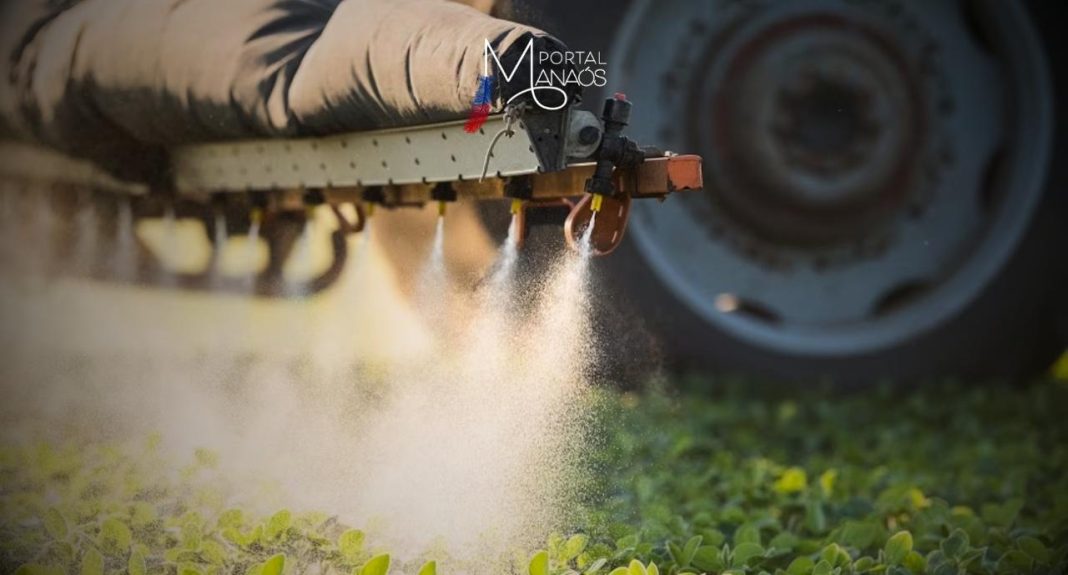 Um estudo realizado pela Fiocruz analisa o período entre 1970 e 2010 e o processo de transformação agrícola que abrange desde as primeiras experiências em agroecologia – ou seja, uma agricultura ambientalmente adequada, produtiva e economicamente viável – à criação do Circuito Carioca de Feiras Orgânicas (CCFO), fundamental para a ampliação dos espaços de comercialização da agricultura orgânica fluminense.