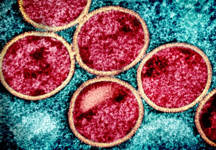 52862834224_711178e031_k