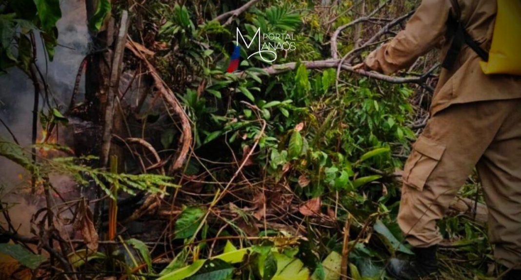 O Corpo de Bombeiros Militar do Amazonas (CBMAM) combateu, na segunda-feira (04), um incêndio em área de vegetação na comunidade Parque das Tribos, no bairro Tarumã, zona oeste de Manaus. Ao todo, 2 mil litros de água foram usados para extinguir as chamas. Não houve vítimas.