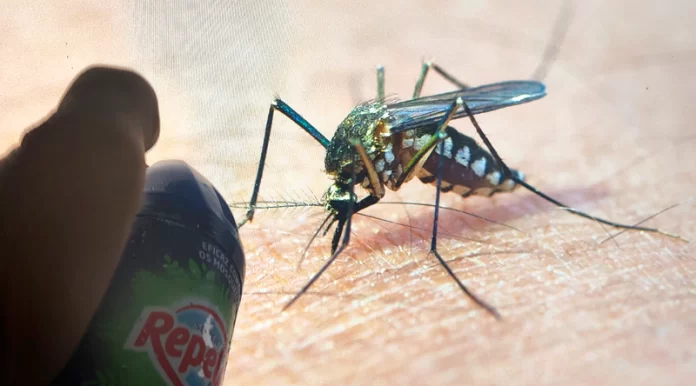 5a05825a-ad38-4c99-bcbf-ec065d8d1334-sfsdfsd