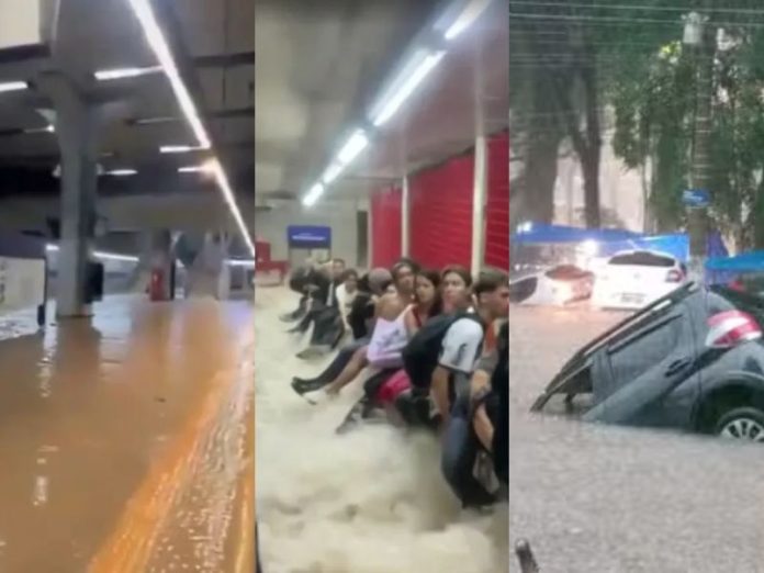 Design sem nome (22)