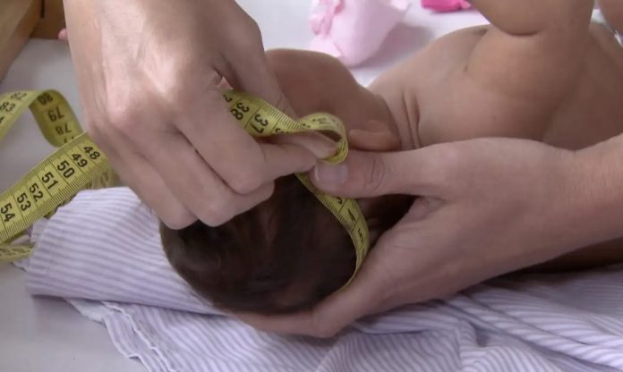 Imagem do WhatsApp de 2025-01-23 à(s) 08.42.18_0dd2363d