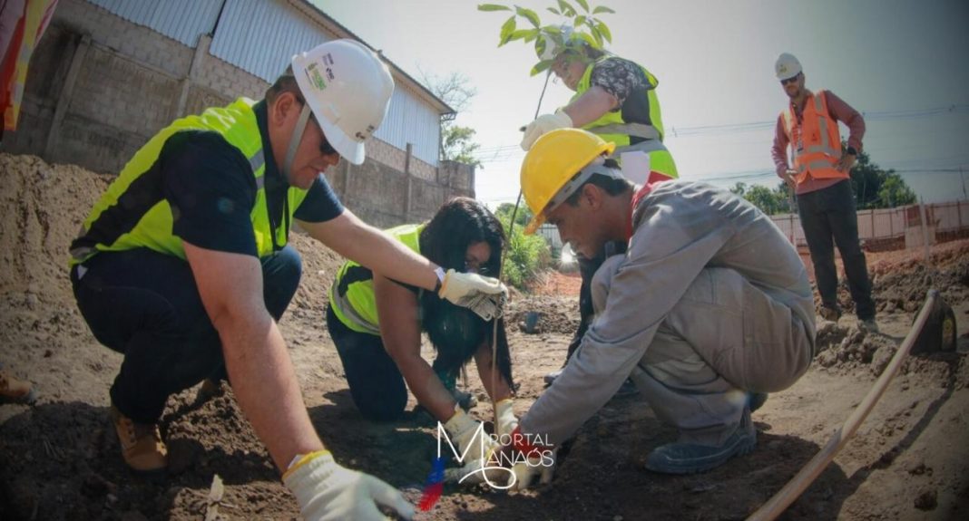 Em ação inédita da atual gestão do Governo do Amazonas, pela primeira vez o Programa Social e Ambiental de Manaus e Interior (Prosamin+) envolve o reflorestamento de áreas degradadas. O trabalho, que será desenvolvido nas áreas de intervenção do programa, iniciou pela comunidade Manaus 2000, na zona sul, com o plantio de 200 mudas de seringueira.