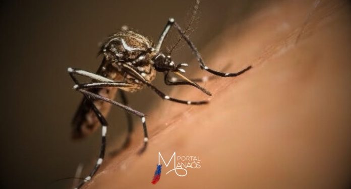 A Secretaria Estadual de Saúde de São Paulo confirmou o registro do primeiro caso de febre amarela em humano este ano. Trata-se de um homem de 27 anos, morador da capital paulista.