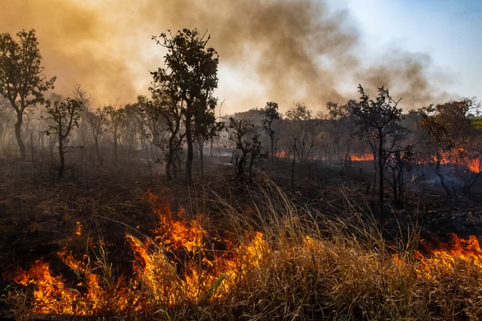 f6ca2ba8-541b-410d-af1a-28ca47677219-53973591865-7f2d3365cd-k