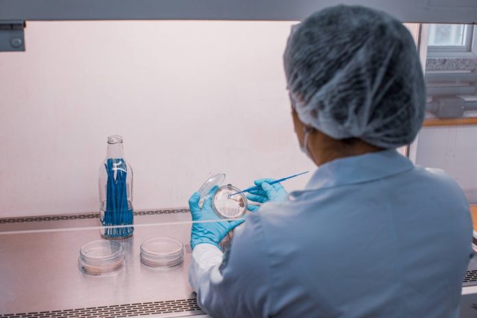 Fapeam-Edital-empreendedorismo-e-pesquisa-no-AM-Foto-Divulgacao-Fapeam-1024x682