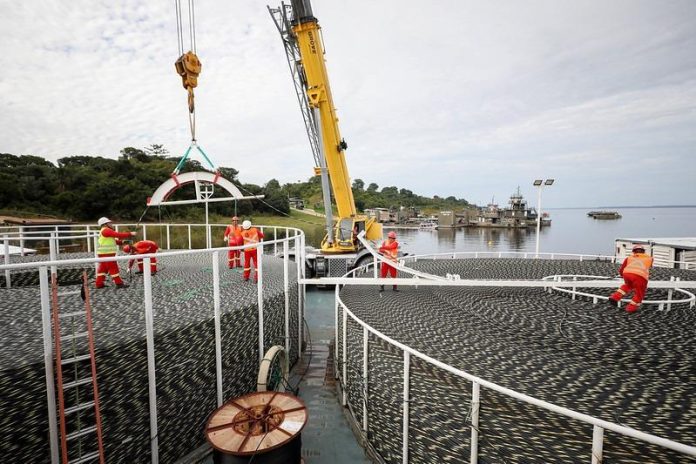 Imagem do WhatsApp de 2025-02-10 à(s) 15.36.27_8c65b150