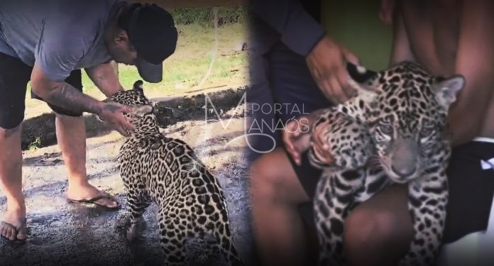 SAVE_20250207_164704