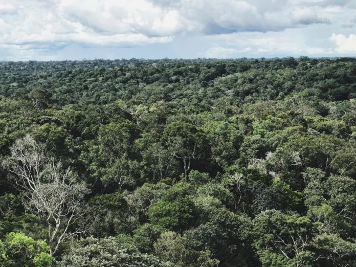 WhatsApp Image 2025-02-11 at 15.22.56